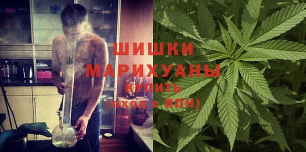 бошки Богородицк