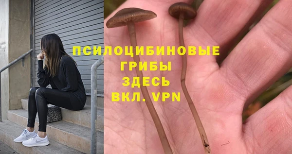 мяу мяу кристалл Богородск